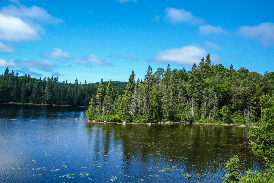 Photo of a lake surrounded by forest and a small off set island in Algoma Country, Ontario, Canada