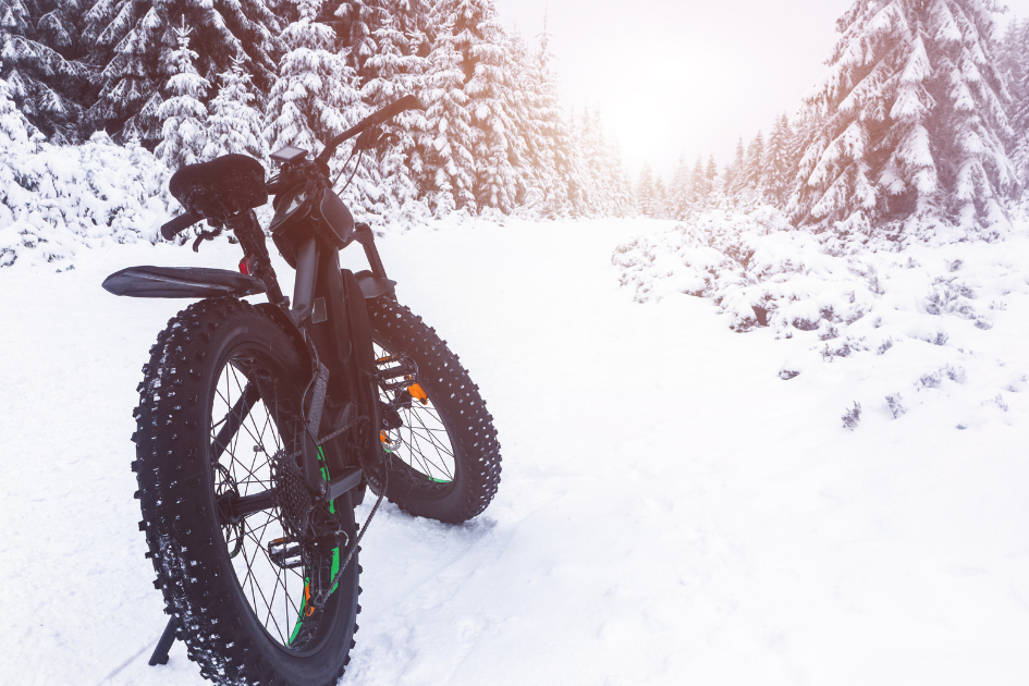 Fatbike parked on a sunny, winter trail